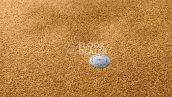 Ковролин Vorwerk Superior 1064/Lyrica Vorwerk 2f33 фото 1 | FLOORDEALER