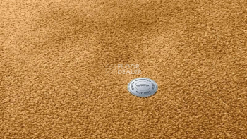 Ковролин Vorwerk Superior 1064/Lyrica Vorwerk 2f33 фото 1 | FLOORDEALER