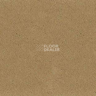 Ковролин Desso Asteranne 2045 фото 1 | FLOORDEALER