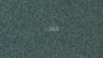 Ковролин Vorwerk Passion 1005 Vorwerk 4f69 фото 1 | FLOORDEALER
