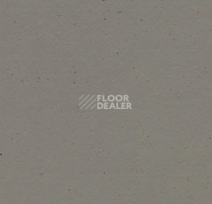 Линолеум Forbo Marmoleum Solid Cocoa 3589 nori фото 1 | FLOORDEALER