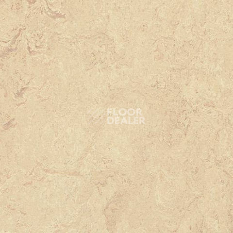 Кварцвиниловые полы Forbo Marmoleum Modular Marble 2713 фото 1 | FLOORDEALER