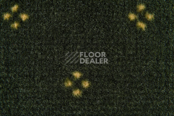 Haima Chic 05 фото 3 | FLOORDEALER