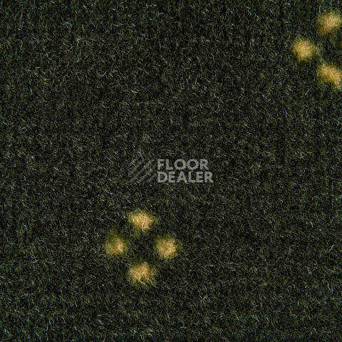 Haima Chic 05 фото 3 | FLOORDEALER