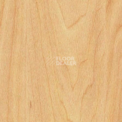 Линолеум Gerflor Taraflex Performance Wood 6381_Maple_design фото 1 | FLOORDEALER