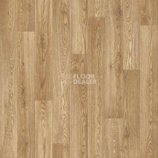 Линолеум Tarkett Eruption Baden 1 фото 1 | FLOORDEALER