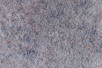 Forbo Flotex Colour Calgary 50*50 t590019 Calgary Carbon фото 2 | FLOORDEALER