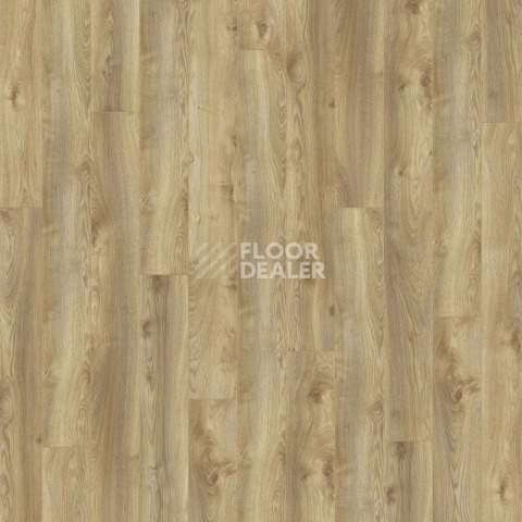 Kronotex Mammut d4794 Дуб Натуральный Макро фото 4 | FLOORDEALER
