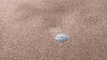 Ковролин Vorwerk Superior 1064/Lyrica Vorwerk 1n43 фото 1 | FLOORDEALER