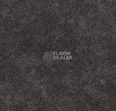 Линолеум Forbo SureStep Stone 17172 фото 1 | FLOORDEALER