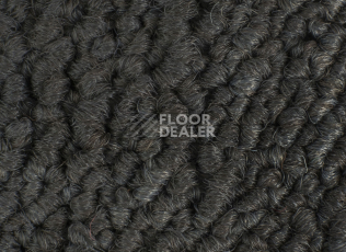 Desso Grain 9111 фото 3 | FLOORDEALER