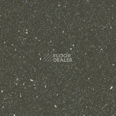 Линолеум Forbo SafeStep R11 174282 dragon фото 1 | FLOORDEALER