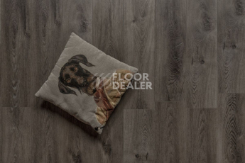 Alpine Floor Premium XL Дуб торфяной ECO 7-11 фото 3 | FLOORDEALER