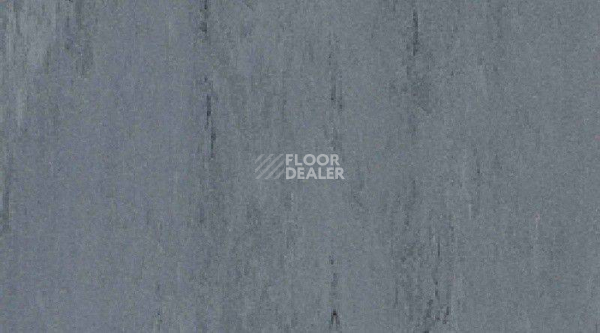 Линолеум Gerflor Mipolam Robust El7 0013 фото 1 | FLOORDEALER
