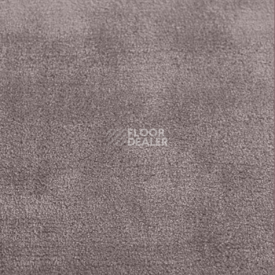 Ковролин Jacaranda Carpets Simla Lavander фото 1 | FLOORDEALER
