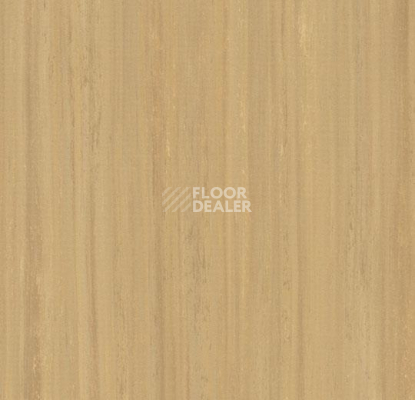 Кварцвиниловые полы Forbo Marmoleum Modular Lines 5234 фото 1 | FLOORDEALER