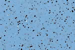 Линолеум Gerflor Mipolam BioControl El5 2004 Horizon фото  | FLOORDEALER