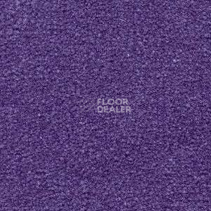 Ковролин Radici Montecarlo 82 фото 1 | FLOORDEALER