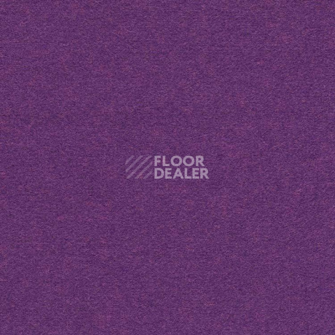Ковролин Finett Feinwerk 753504 фото 1 | FLOORDEALER