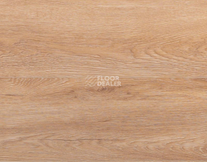 Кварцвиниловые полы My Step Aqua 6/180мм Rizon (Ризон) MSA56 фото 1 | FLOORDEALER