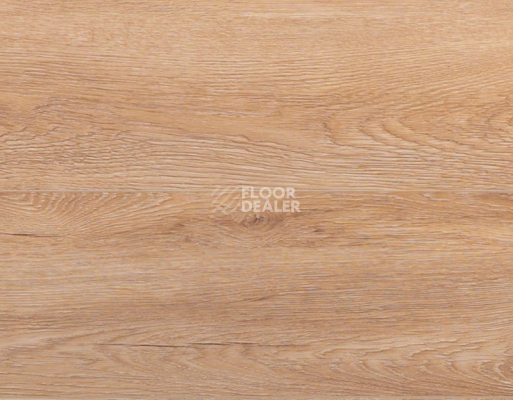 Кварцвиниловые полы My Step Aqua 6/180мм Rizon (Ризон) MSA56 фото 1 | FLOORDEALER