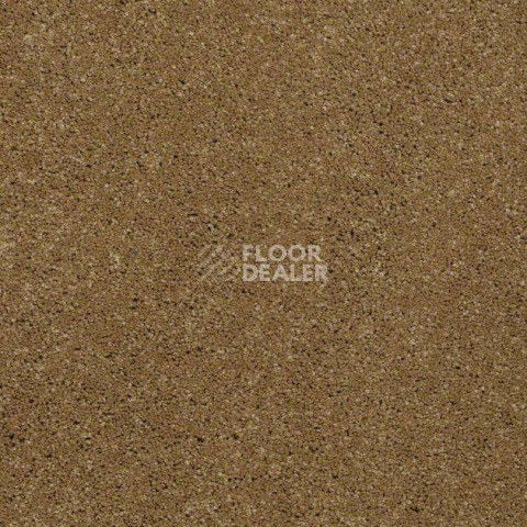Ковролин Shaw Design Texture Platinum 266 фото 1 | FLOORDEALER