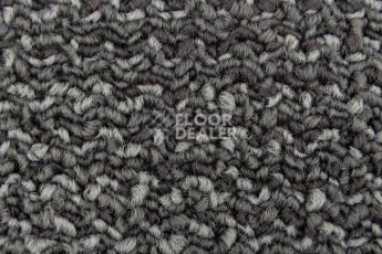 Neuflor Sandunes 300501 фото 2 | FLOORDEALER