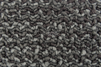 Neuflor Sandunes 300501 фото 2 | FLOORDEALER