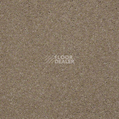 Ковролин Shaw Design Texture Platinum 770 фото 1 | FLOORDEALER