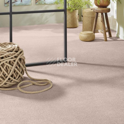 Vorwerk Superior 1065/Viola Vorwerk 1n47 фото 2 | FLOORDEALER