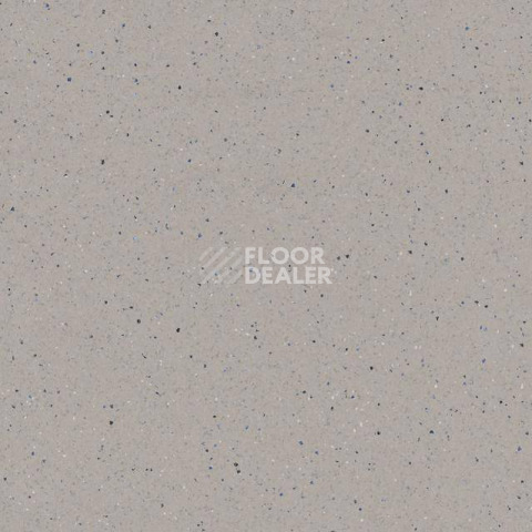 Линолеум Tarkett Zenit 703 фото 1 | FLOORDEALER