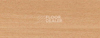 Плинтус Dollken EP 60/13 2600 фото 2 | FLOORDEALER