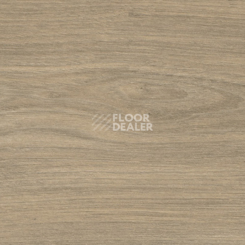 Ламинат Haro Tritty 200 Aqua 4V Вяз Варио 544784 фото 1 | FLOORDEALER