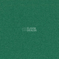 Линолеум Tarkett Primo Plus Depot Primo 312 фото 1 | FLOORDEALER