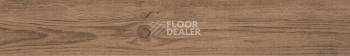 Керамогранит Manhattan Par-Ker Manhattan Cognac 19,3x120 фото 1 | FLOORDEALER