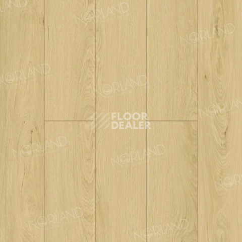 Ламинат Norland Elegant 8мм Дуб Азор LF301-05 фото 1 | FLOORDEALER