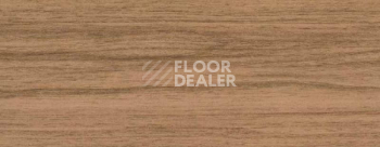 Плинтус Dollken EP 60/13 2637 фото 2 | FLOORDEALER