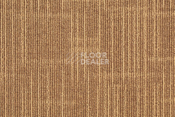 Ковровая плитка Shaw Straightforward 70135 фото 1 | FLOORDEALER