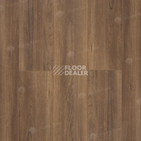 Ламинат Alpine Floor Premium 10мм P1004  ОРЕХ фото 1 | FLOORDEALER