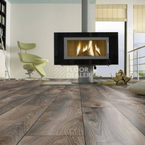 Kronotex Mammut Plus d4792 Дуб Серый Макро фото 11 | FLOORDEALER