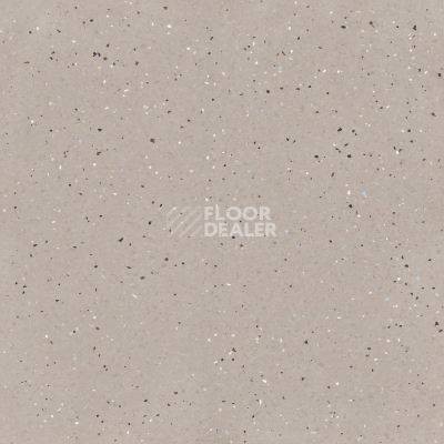 Линолеум Tarkett iQ Lyra 504 фото 1 | FLOORDEALER