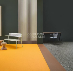 Forbo Sphera Energetic 50210 mandarin фото 3 | FLOORDEALER