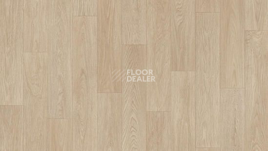 Линолеум Tarkett Acczent Pro OREN 1 фото 1 | FLOORDEALER