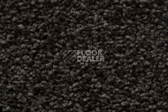 Balsan Serenite 770 фото 3 | FLOORDEALER