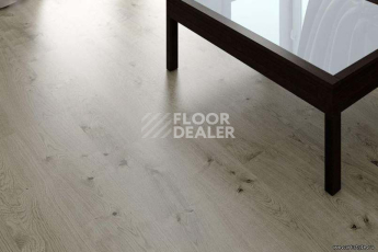 Wood OAK GREY фото 2 | FLOORDEALER