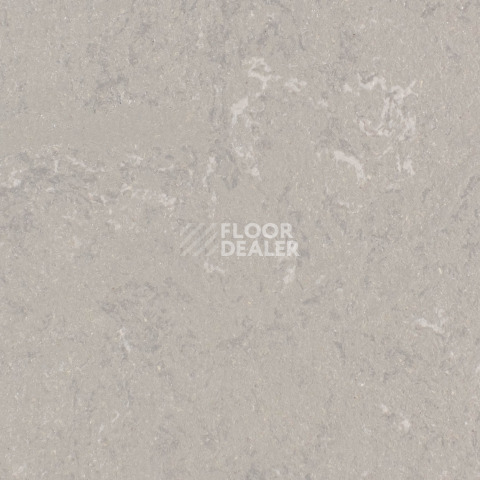 Линолеум Forbo Marmoleum Solid Concrete 3702-370235 liquid clay фото 1 | FLOORDEALER