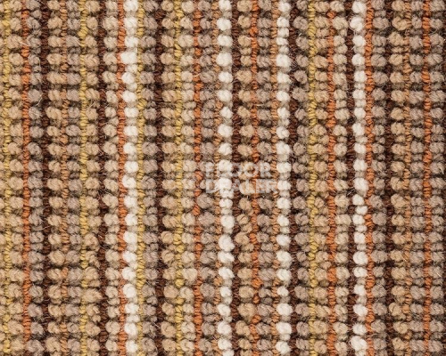 Ковролин Best Wool Pure Africa 106 фото 1 | FLOORDEALER
