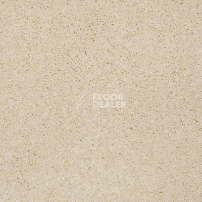 Ковролин Shaw Design Texture Platinum 112 фото 1 | FLOORDEALER