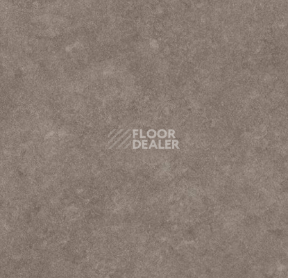 Линолеум Forbo SureStep Stone 17142 фото 1 | FLOORDEALER
