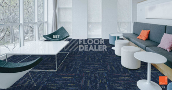 Standard Carpets LAX 557 фото 2 | FLOORDEALER